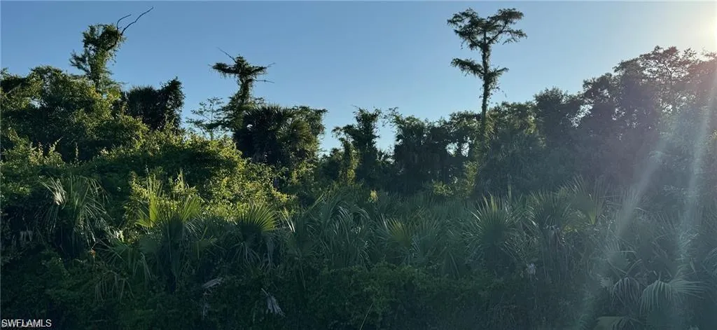 View of local wilderness