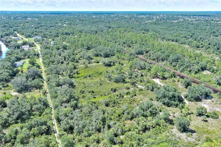 View of property location with a forest