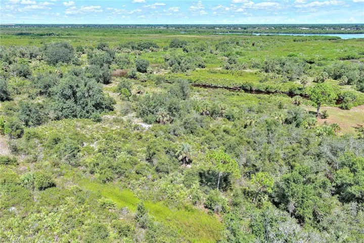 Bird's eye view of a heavily wooded area