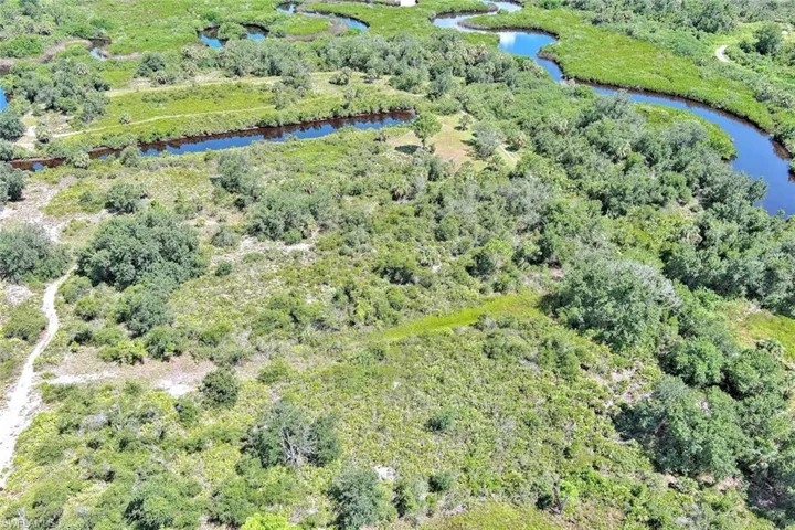 Drone / aerial view of a forest and a large body of water