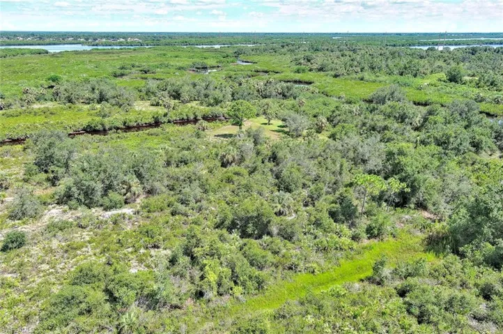 Bird's eye view of a nearby body of water and a forest