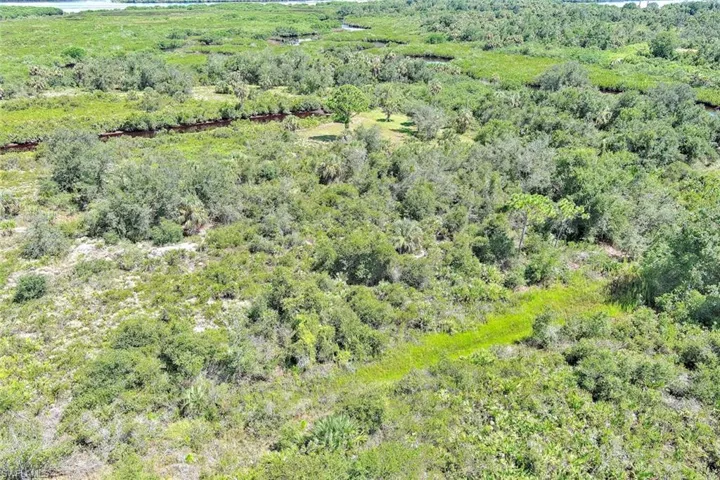 Drone / aerial view of a forest