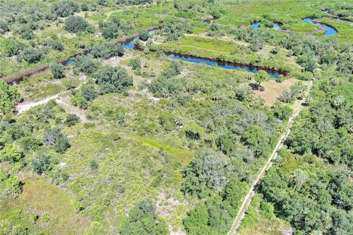 Aerial view of a forest