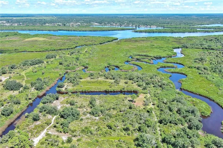 Bird's eye view of a large body of water and a forest