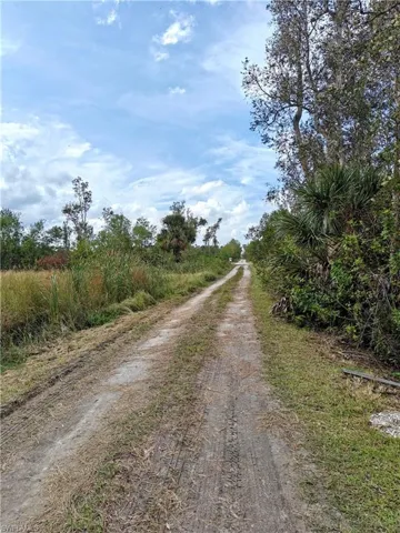 View of street