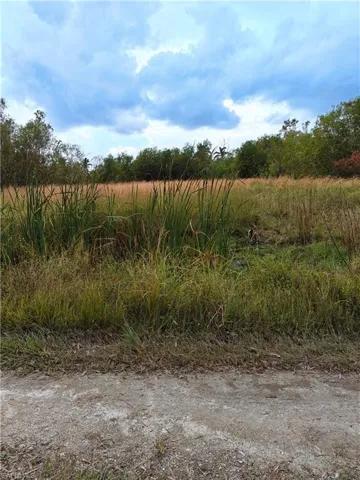 Frontal view from the road