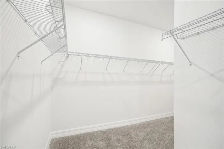 Spacious closet featuring carpet