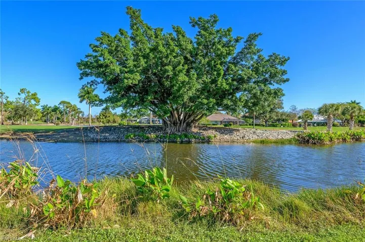 239 Torrey Pines Pt, Naples, Florida 34113
