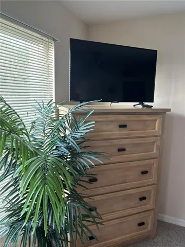 Master Bedroom flat screen TV