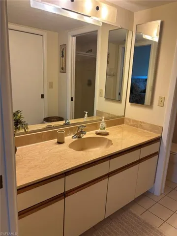 Master bath has large vanity with plenty of counter space