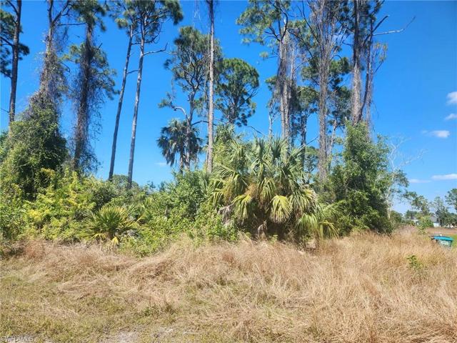 1031 NE 34th ST, CAPE CORAL FL 33909