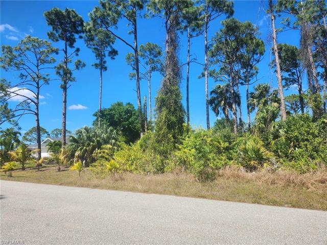 1031 NE 34th ST, CAPE CORAL FL 33909