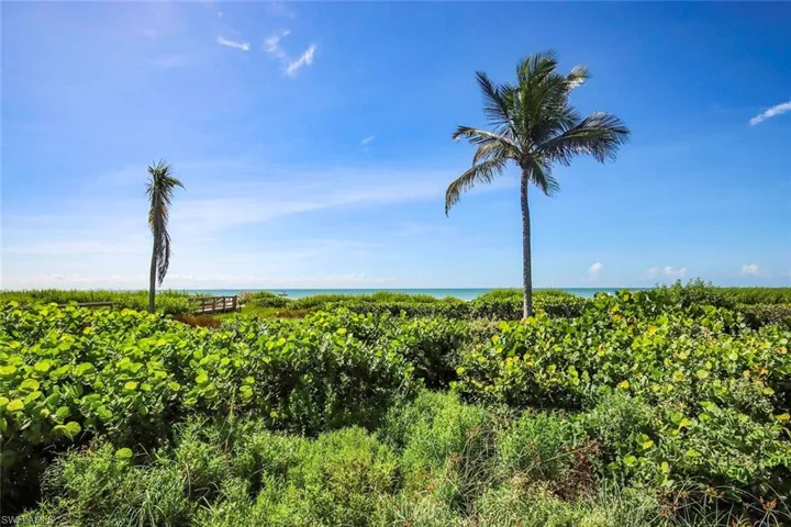 View South to the Gulf and beach.