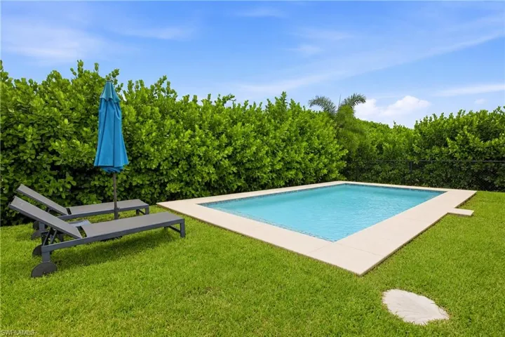 Pool and Backyard