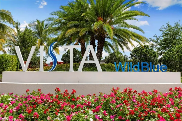 Vista in Wildblue