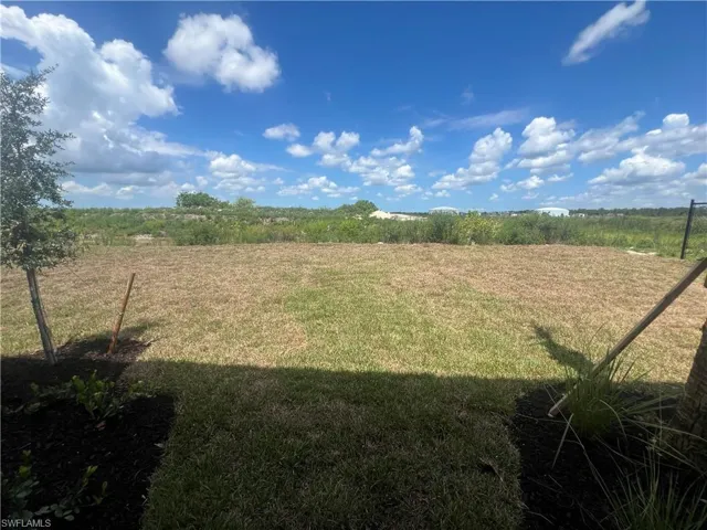 View of grassy yard