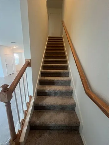 Stairs with carpet flooring