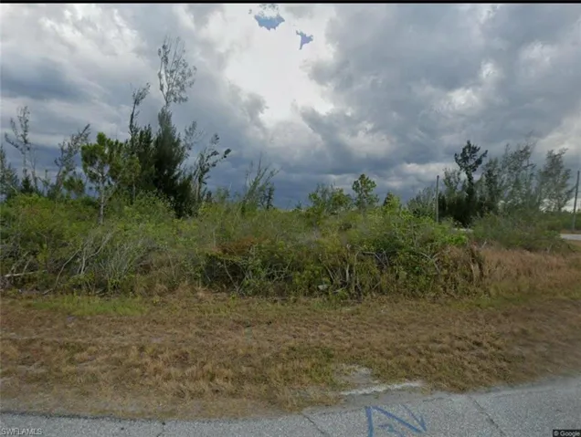 View of local wilderness