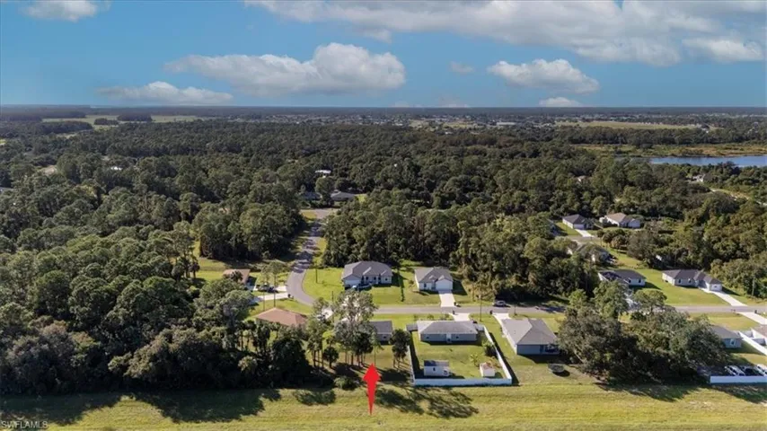Aerial perspective of suburban area featuring a forest