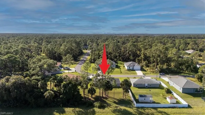 Aerial view of a forest