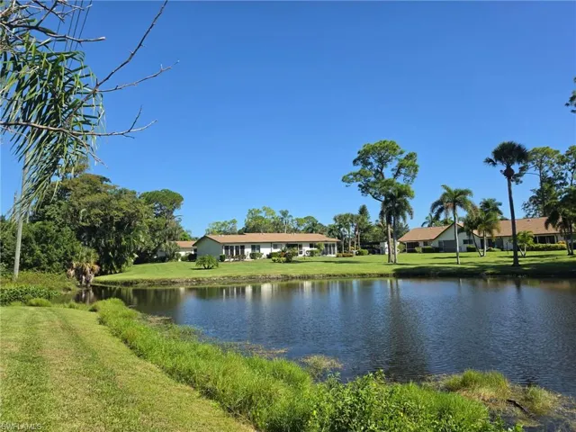 BEAUTIFUL FLORIDA VEGETATION...
