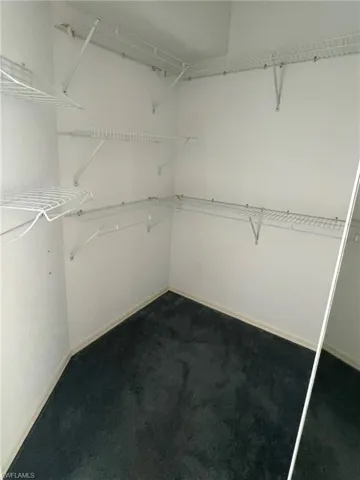 Walk in closet with dark colored carpet