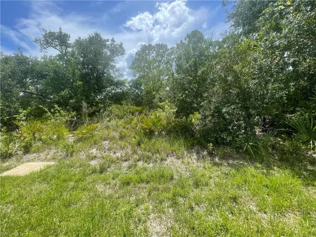 View of undeveloped land
