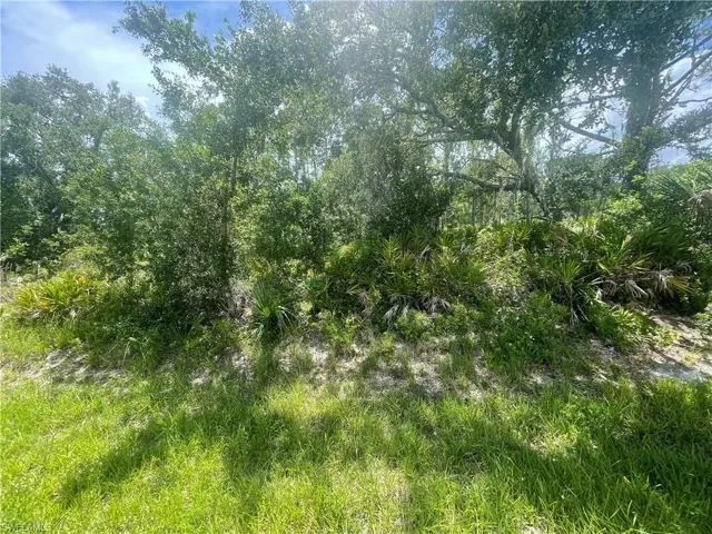 View of undeveloped land
