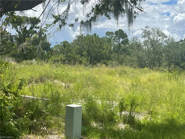 View of nature
