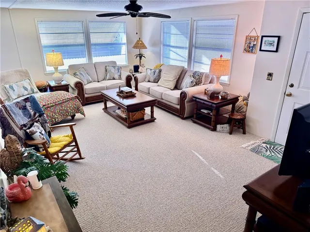 Large Living Room