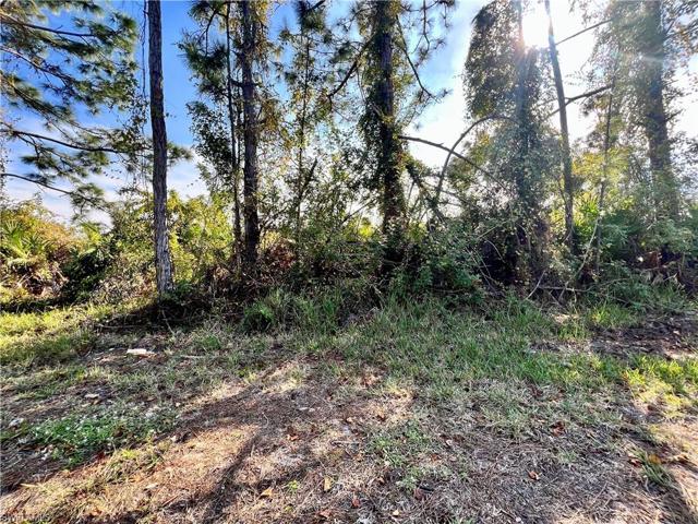 12431  Deepwoods  AVE, PORT CHARLOTTE, FL 33981