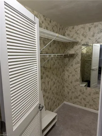 Walk in closet in Master