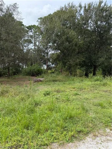 Grassed lot with mature trees