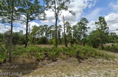 417 Johns AVE, LEHIGH ACRES FL 33972