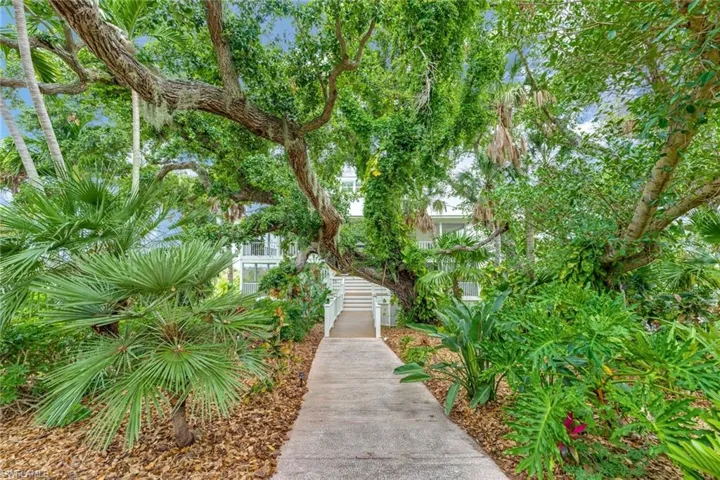 Entrance to house under giant oak