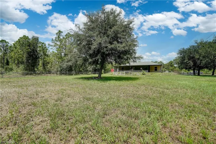 This yard has potential written all over it