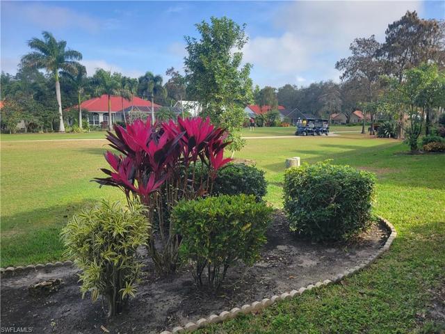 lush Florida landscaping
