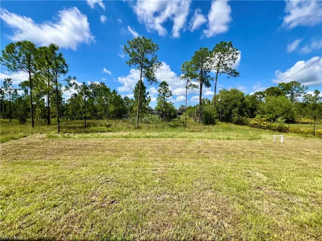 View of half acre