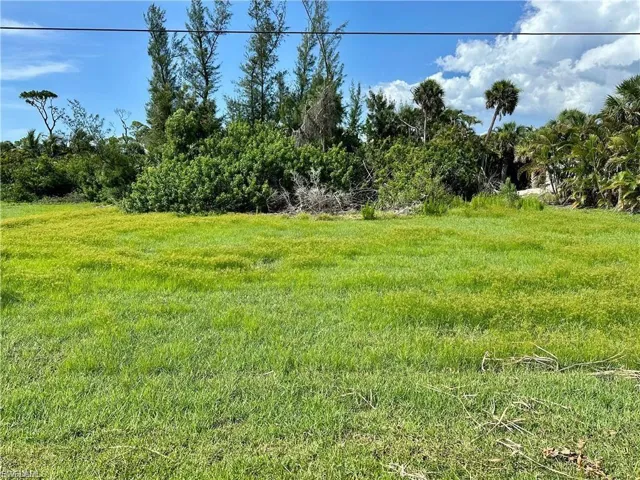 View of green lawn