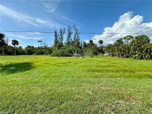 View of grassy yard