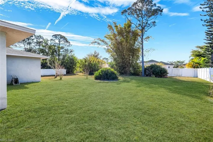 Back Yard