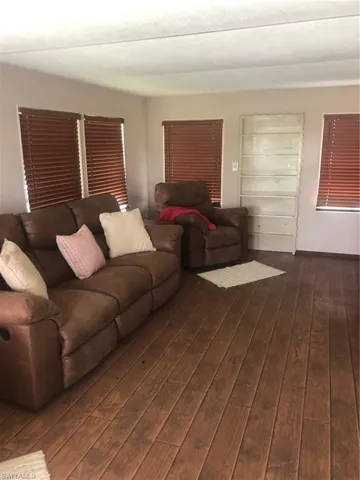 Living room featuring dark wood-type flooring