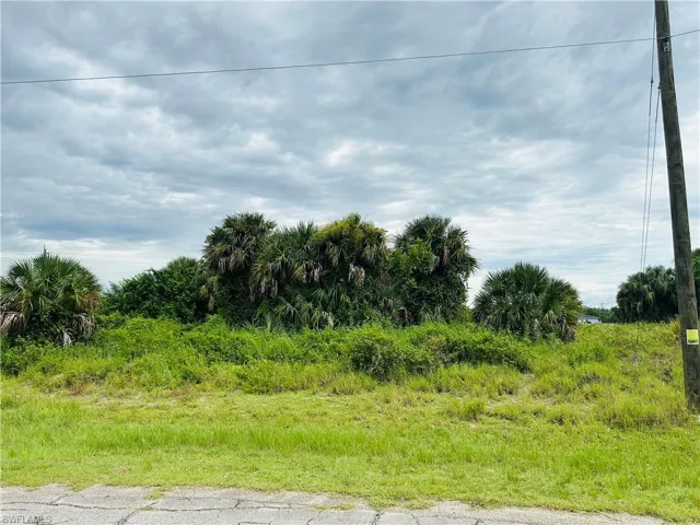 View of nature
