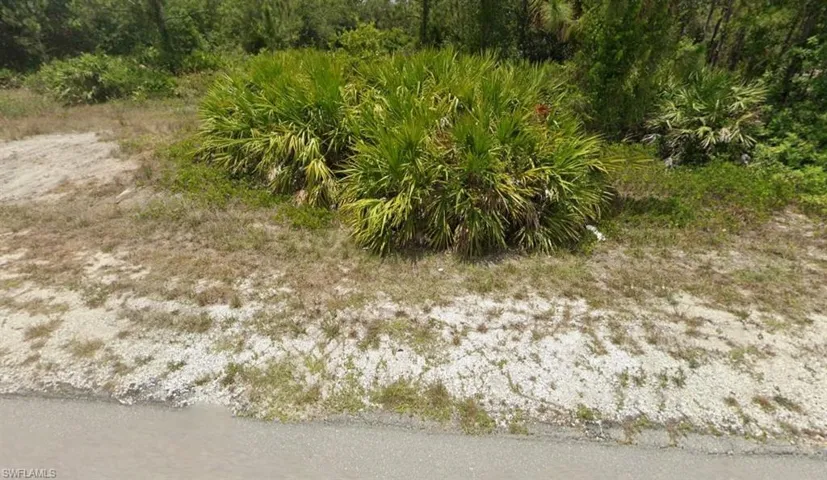 View of nature