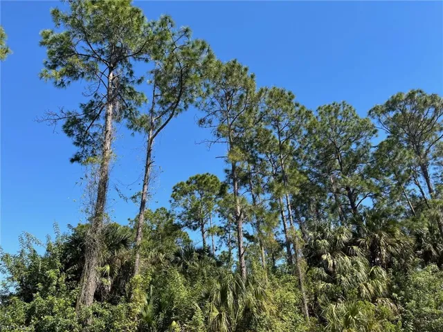 18th AVE NE, NAPLES FL 34120