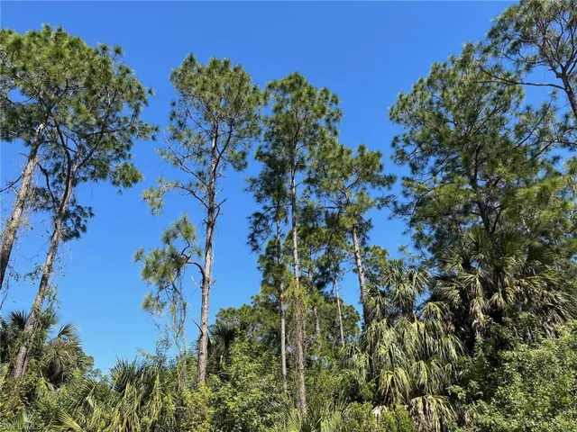 18th AVE NE, NAPLES FL 34120