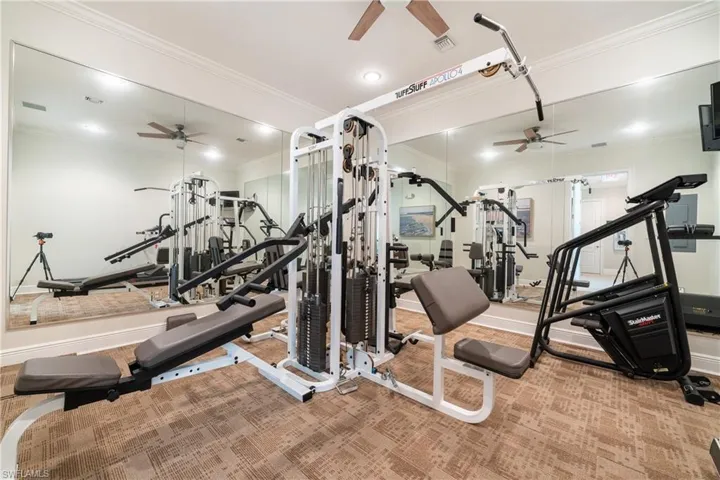 Workout area with light carpet, crown molding, and ceiling fan