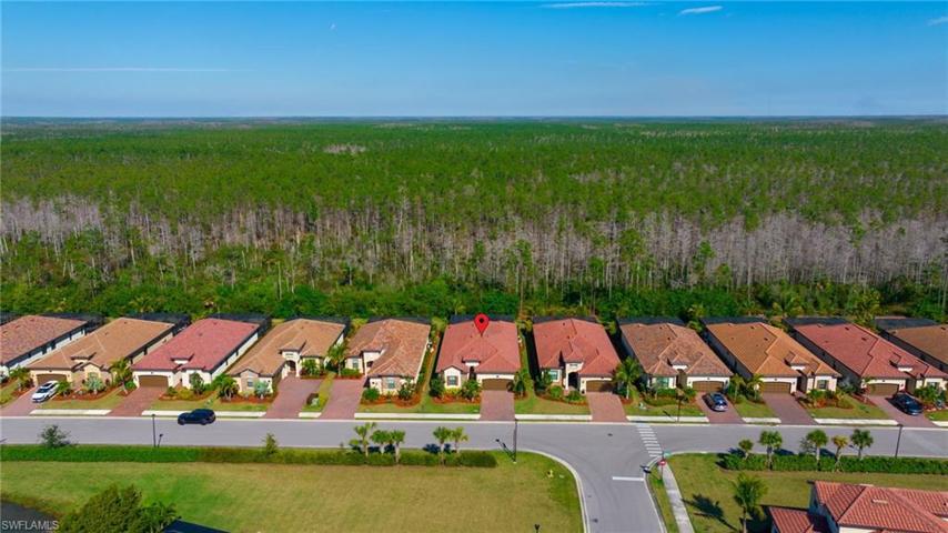 Aerial - Quiet and Private Preserve View