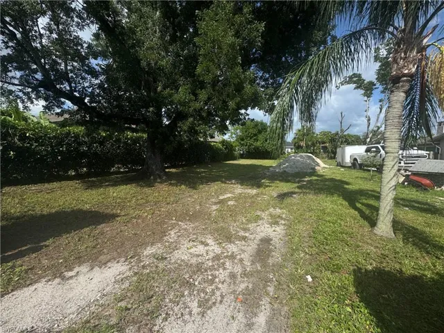 View of grassy yard