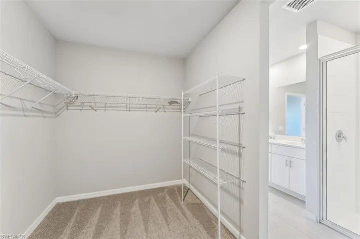 Spacious closet with light carpet